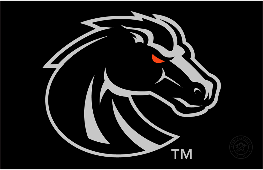 Boise State Broncos 2013-Pres Secondary Logo v3 diy DTF decal sticker